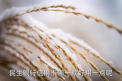 民生银行什么信用卡最实用，民生银行的什么信用卡最好
