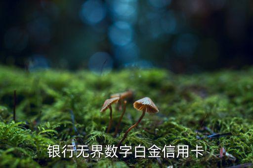 银行无界数字白金信用卡