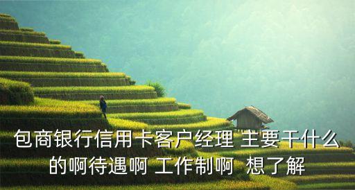 包商银行信用卡客户经理 主要干什么的啊待遇啊 工作制啊  想了解