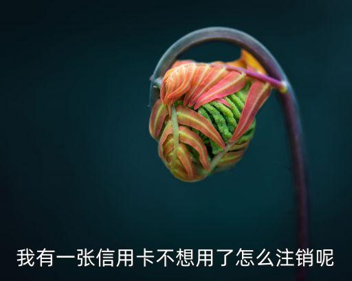 我有一张信用卡不想用了怎么注销呢