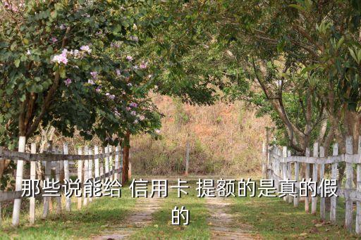那些说能给 信用卡 提额的是真的假的