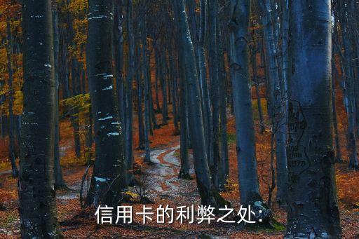 转向消费分期信用卡怎么样,招商的分期信用卡怎么样