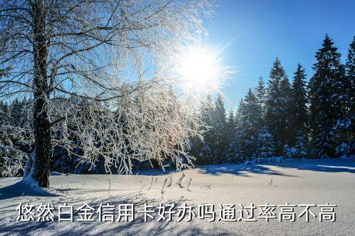 白金信用卡好申请过吗,申请中信银行白金信用卡容易吗
