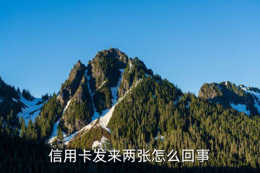 信用卡发来两张怎么回事
