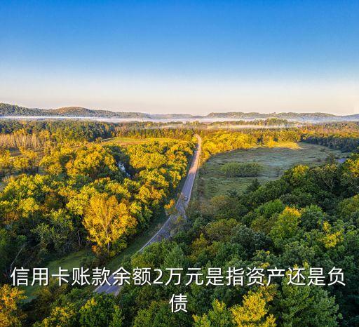 信用卡也属于负债吗为什么，信用卡账款余额2万元是指资产还是负债