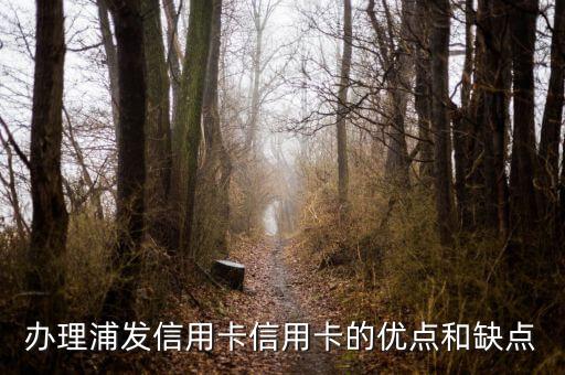 办理浦发信用卡信用卡的优点和缺点
