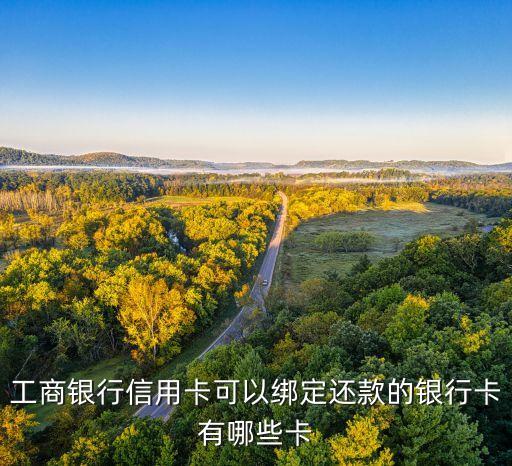 信用卡有什么卡还卡，信用卡还款往哪张卡上还