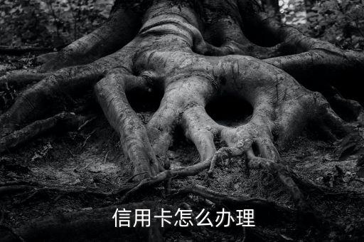  信用卡怎么办理