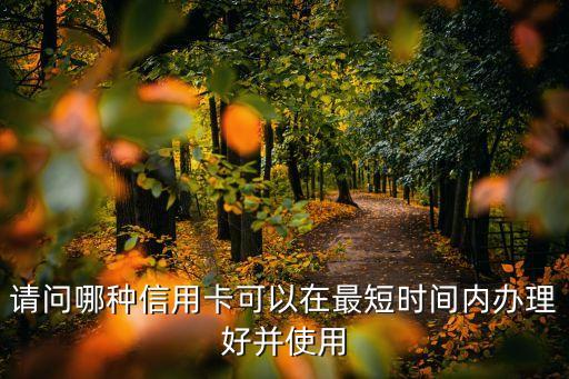 请问哪种信用卡可以在最短时间内办理好并使用