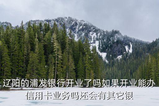 辽阳的浦发银行开业了吗如果开业能办信用卡业务吗还会有其它银