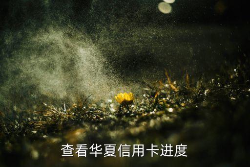 华夏银行信用卡活动查询,如何查询华夏银行的信用卡积分