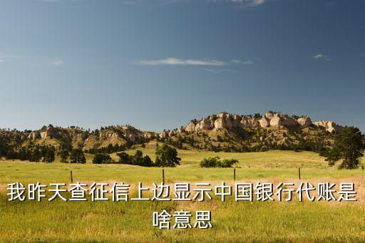信用卡代账是什么意思，还信用卡抹账是什么意思