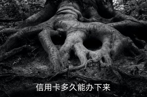 信用卡多久能办下来