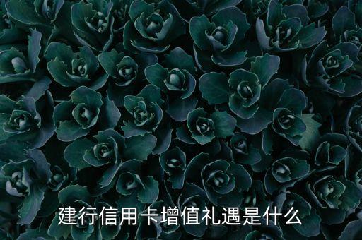 建行信用卡增值礼遇是什么