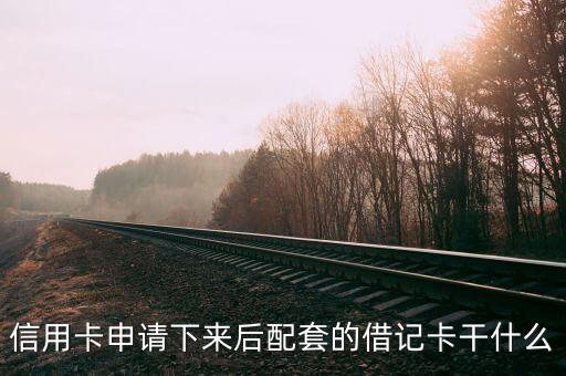 信用卡是什么配卡，信用卡申请下来后配套的借记卡干什么