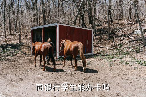 商银行学生能办卡吗