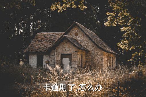卡逾期了,怎么办