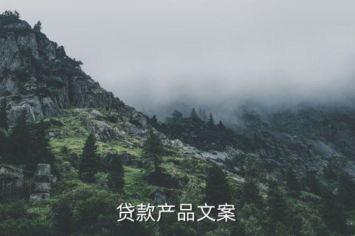 银行信用卡额度文案范文,信用卡复印件