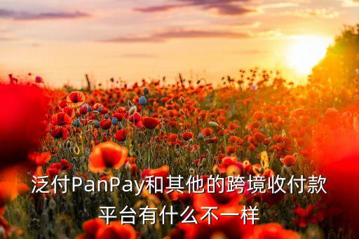 泛付PanPay和其他的跨境收付款平台有什么不一样