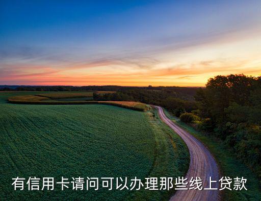 有信用卡请问可以办理那些线上贷款