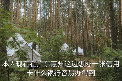 本人现在在广东惠州这边想办一张信用卡什么银行容易办得到