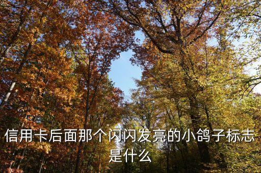 信用卡后面那个闪闪发亮的小鸽子标志是什么