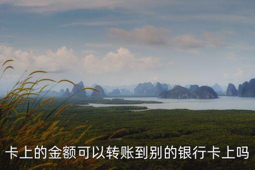 卡上的金额可以转账到别的银行卡上吗