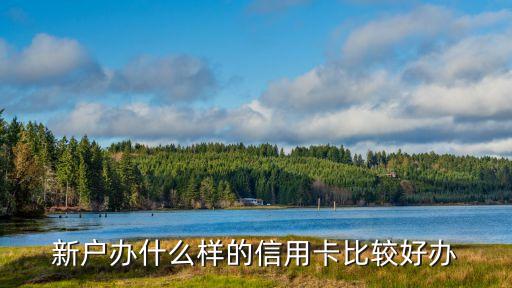 新户办什么样的信用卡比较好办