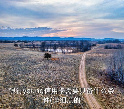 银行young信用卡需要具备什么条件(详细点的