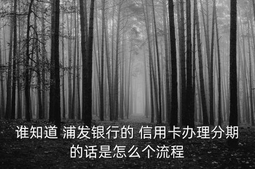 谁知道 浦发银行的 信用卡办理分期的话是怎么个流程