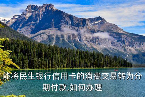 能将民生银行信用卡的消费交易转为分期付款,如何办理