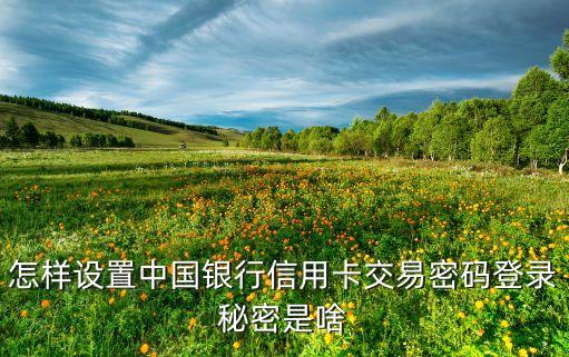 怎样设置中国银行信用卡交易密码登录秘密是啥