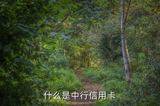 什么是中行信用卡