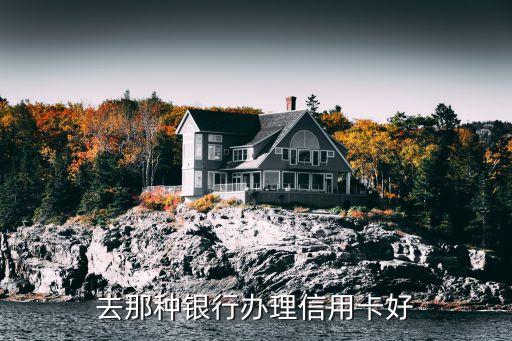 去那种银行办理信用卡好