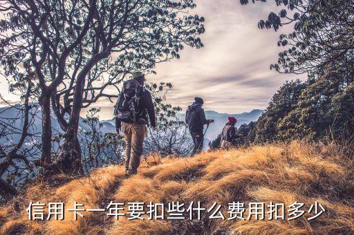信用卡一年要扣些什么费用扣多少