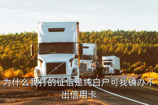 为什么我打的征信是纯白户可我确办不出信用卡