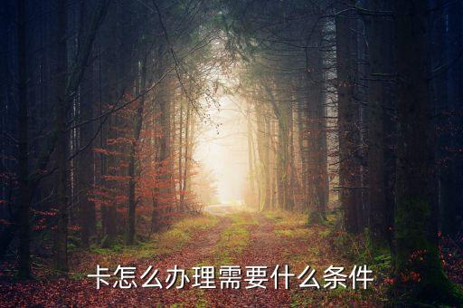 卡怎么办理需要什么条件