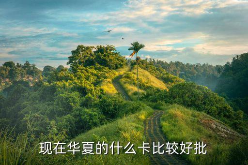 现在华夏的什么卡比较好批