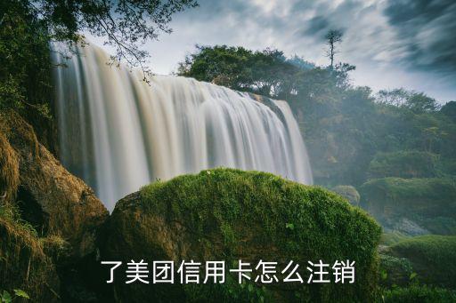 骑手申请信用卡取消,外卖骑手如何办理信用卡