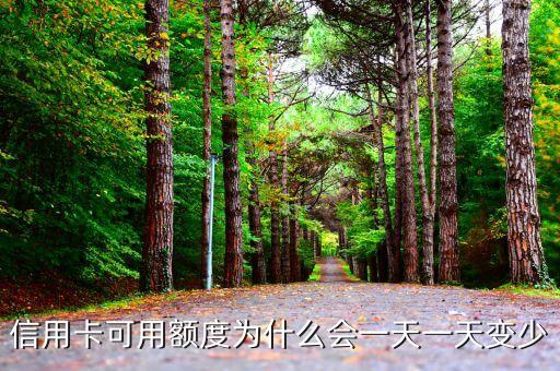 信用卡可用额度为什么会一天一天变少