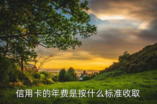 信用卡的年费是按什么标准收取