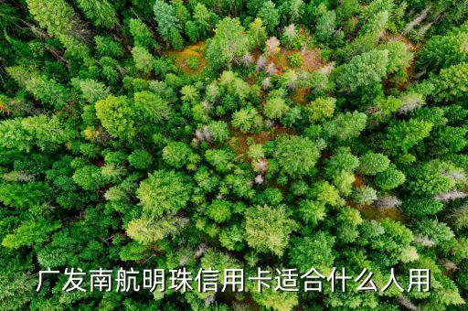 广发南航明珠信用卡适合什么人用