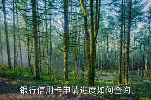 银行信用卡申请进度如何查询
