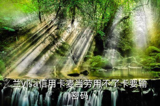 兰visa信用卡麦当劳用不了卡要输密码