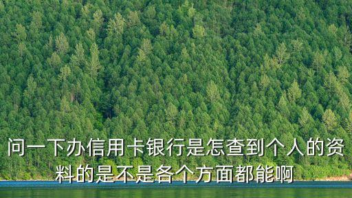 问一下办信用卡银行是怎查到个人的资料的是不是各个方面都能啊