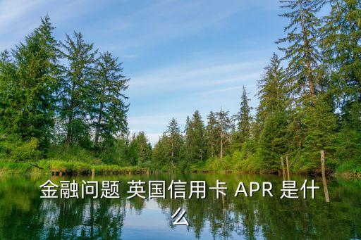 金融问题 英国信用卡 APR 是什么