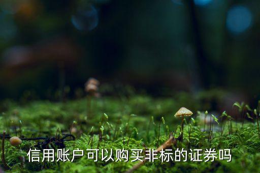 信用卡可以买什么股票，股票信用账户可以买哪些股票