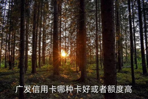 广发信用卡哪种卡好或者额度高