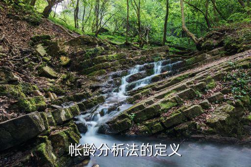 帐龄分析法的定义