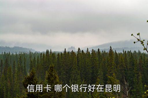 信用卡 哪个银行好在昆明